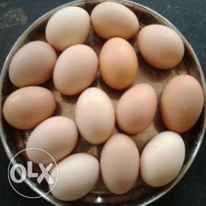 Desi Checken Egg 160 Per Dozen(Wholesale Rate)