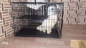 Dog / Cat cage for sale