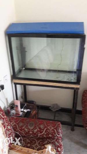 In good condition. Including pebbles light,