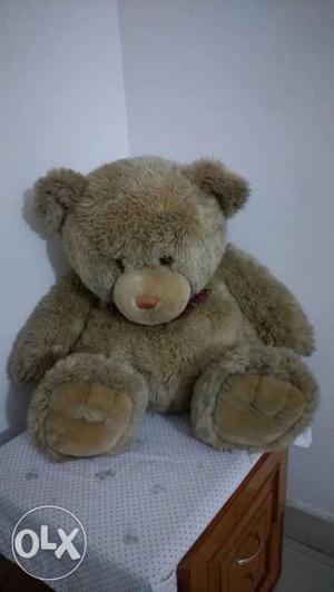 Teddy bear, 2ft size, in good condition.