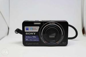 Black And Gray Sony HD Movie Camera W630