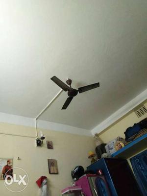 Black And White 3-blade Ceiling Fan