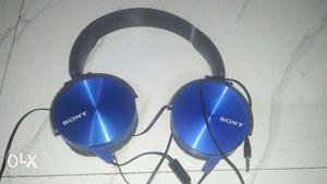 Blue Sony On-ear Headphones
