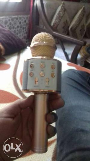Gray And Gold Portable Microphone
