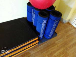 Gym mats, gym ball, dumbell for aerobic's