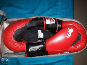 Lonsdale 14OZ Pro Safe Spar Training Glove Red