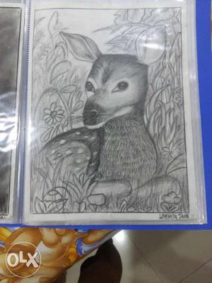 Pencil Illustration Of Animal