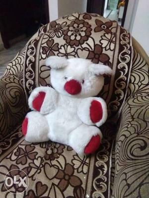 Cute teddy bear worth rs 700 available at very