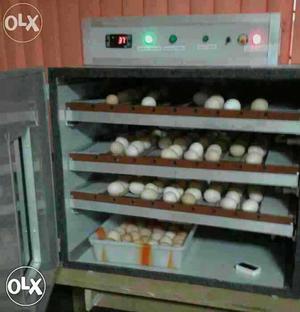 1 Poultry incubator and egg hachuring Starting rs