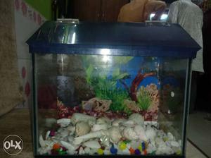 12 inch fish tank good condition