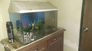 2 feet tank with all accessories new call on given number