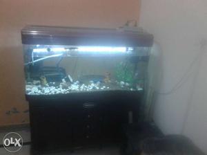 4 ft fish aquarium with cabinet and accessories