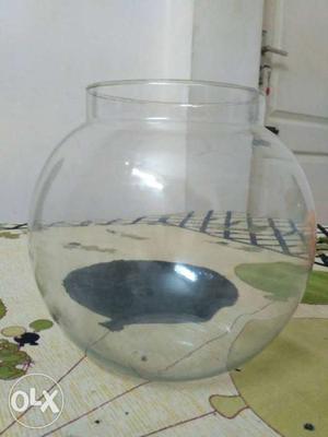 A fish bowl with large capacity to hold pebbles