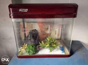 Aquarium For office /Home