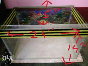 Aquarium (fish tank) 24" x 15" x 14" (2ft* 15inc*