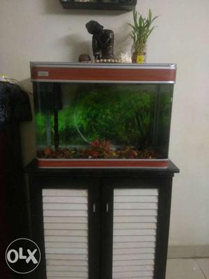 Aquarium with all accessories and oxygen pump and