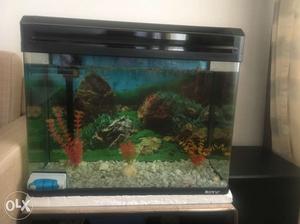 BOYU Fish Tank 2feet- 8months used.. in excellent condition