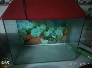 Beautiful aquarium 300x450x600