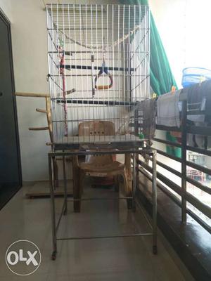 Birds cage Size: 2 by 2 steel metal cage (with