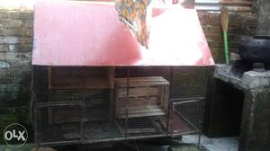 Black And Red Chicken Coop