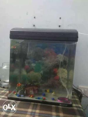 Black Framed Fish Tank