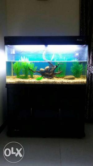 Black Metal Frame Fish Tank