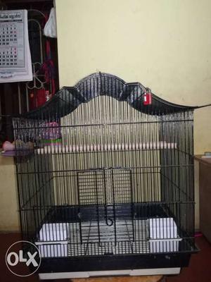 Black Steel Bird Cage