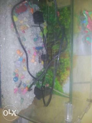 Brand new fish tank m