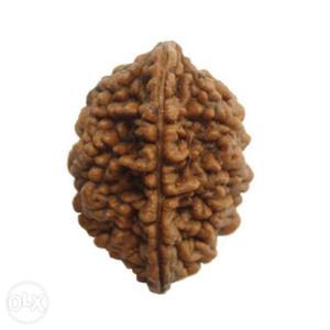 Brown Nut In Dindigul