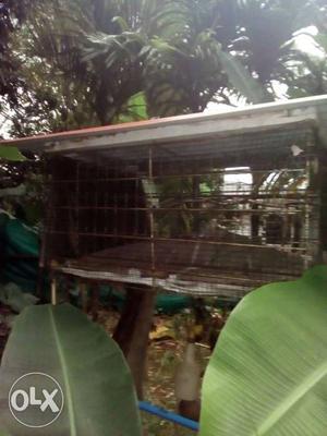 Cage for hen birds