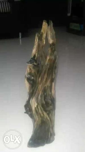 Driftwood at best price