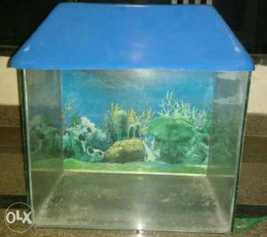 Fish Aquarium has picture at front and back