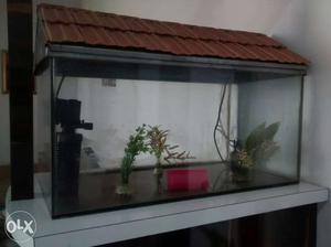 Fish Tank 2feet x 1feet