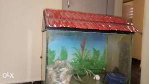 Fish Tank only one year used