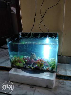 Fish aquarium and equipments