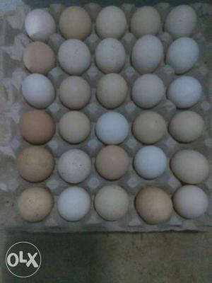 Fresh, Organic country chicken eggs For sale...
