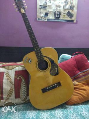 Gibtone guitar with zip case