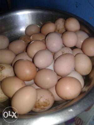 Hen egg for sale