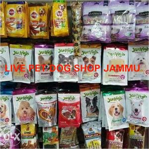 Live Pets Dog Shop Food Accessories Jammu Near