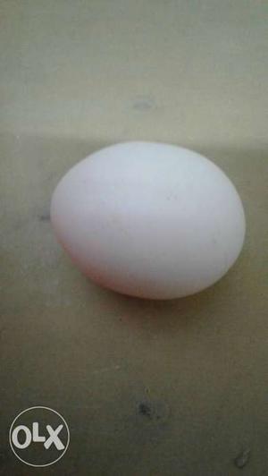 Nadan adhakozhi eggs 4 sale