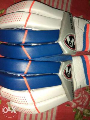 Pair Of White-blue-and-gray Ecolite Cricket Gloves