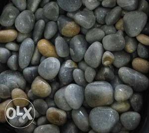 Pebbles available 1kg 100rs only interested