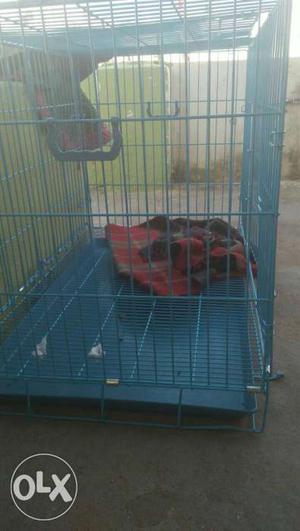 Pet cage for sale used 2weeks