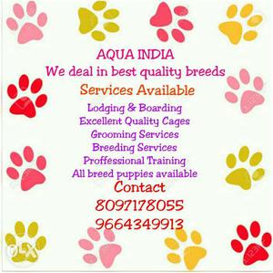 Pet food and accessories available