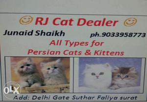 RJ Cat Dealer Print Ad