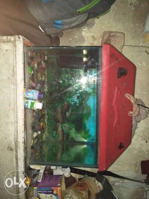 Red And Black Fish Tank