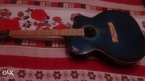 Signature guitar..in awsm condition