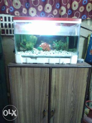 2 ft. Red fish tank