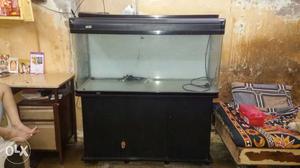 4 feet fish tank with curved corner