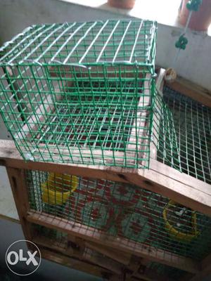 Bird cage + green mesh